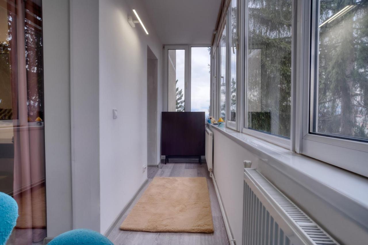 Central Luxury Apartment With City View 布拉索夫 外观 照片