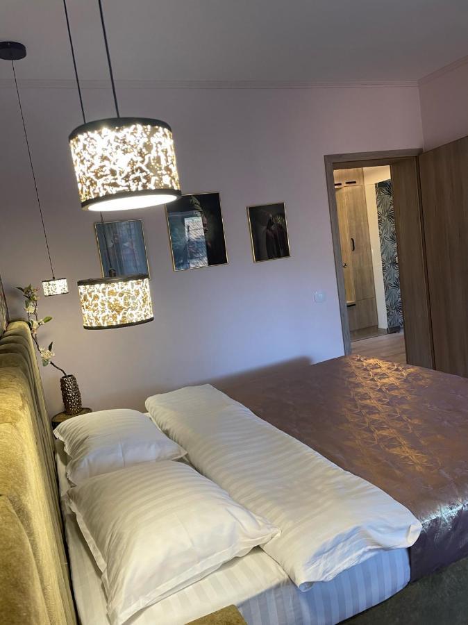 Central Luxury Apartment With City View 布拉索夫 外观 照片