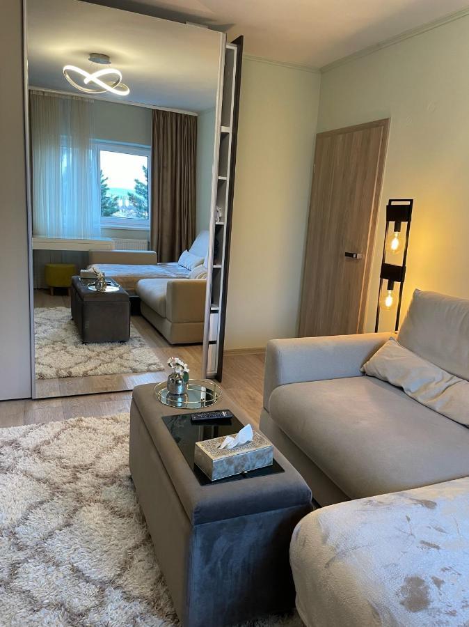 Central Luxury Apartment With City View 布拉索夫 外观 照片