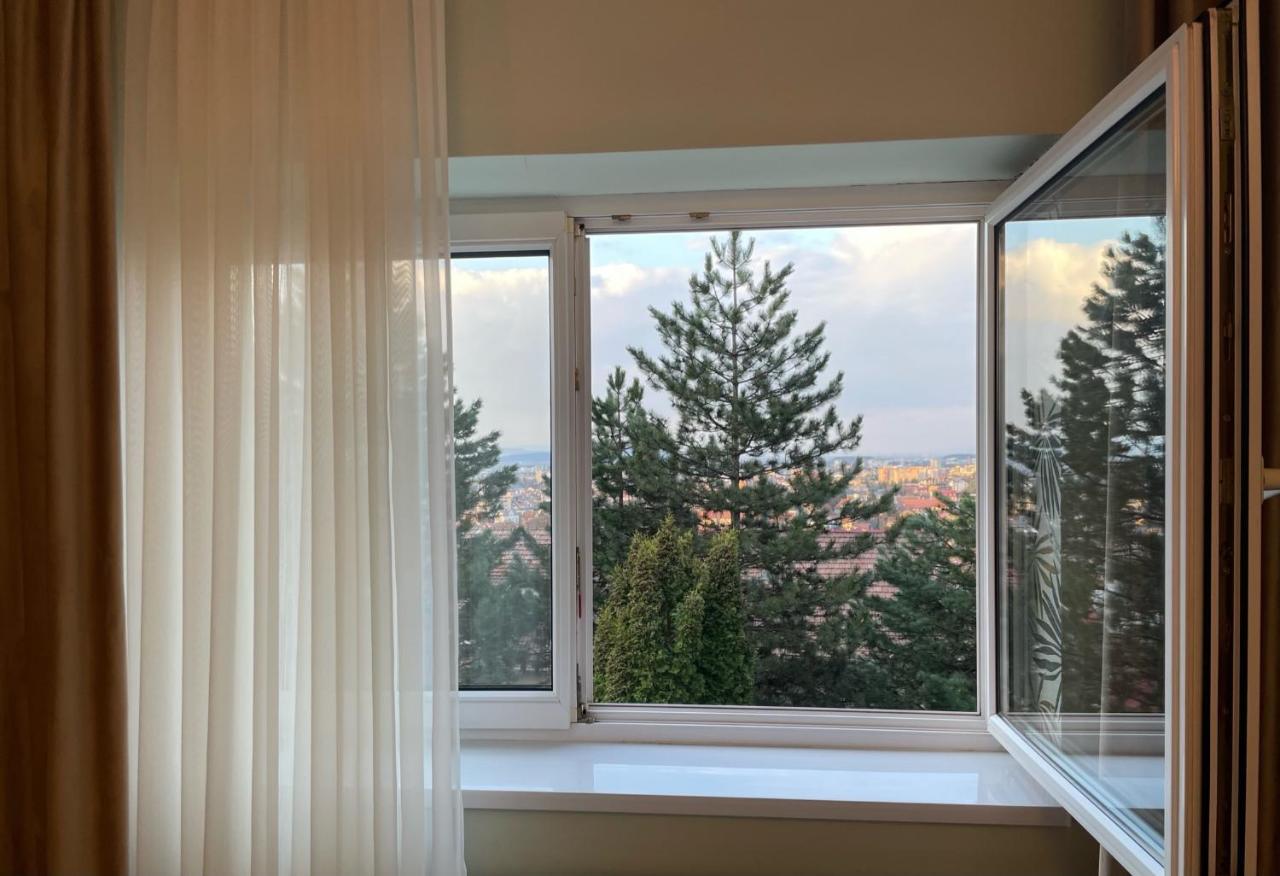 Central Luxury Apartment With City View 布拉索夫 外观 照片
