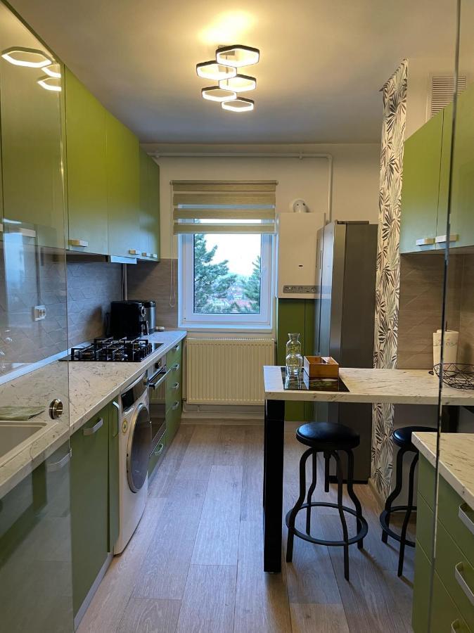 Central Luxury Apartment With City View 布拉索夫 外观 照片